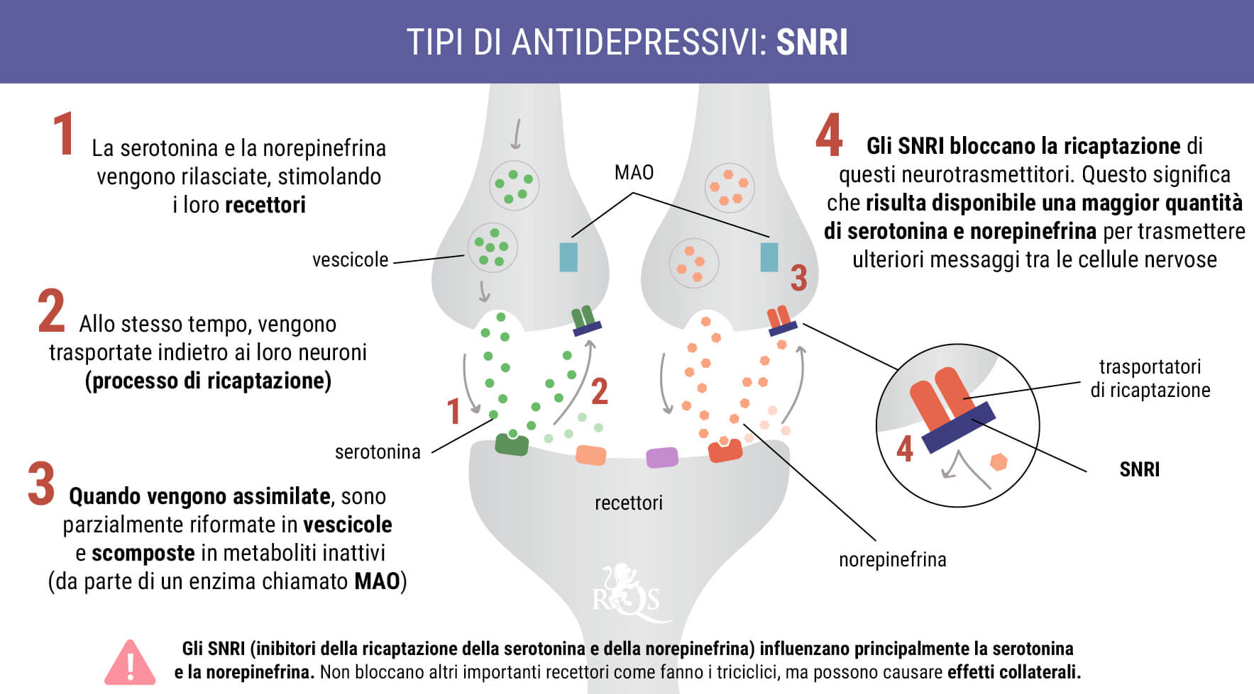 SNRI SNRI