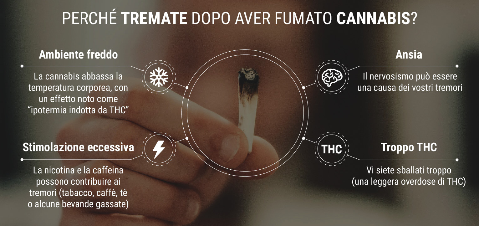 Perché si manifestano tremori dopo aver fumato cannabis? Perché si manifestano tremori dopo aver fumato cannabis?