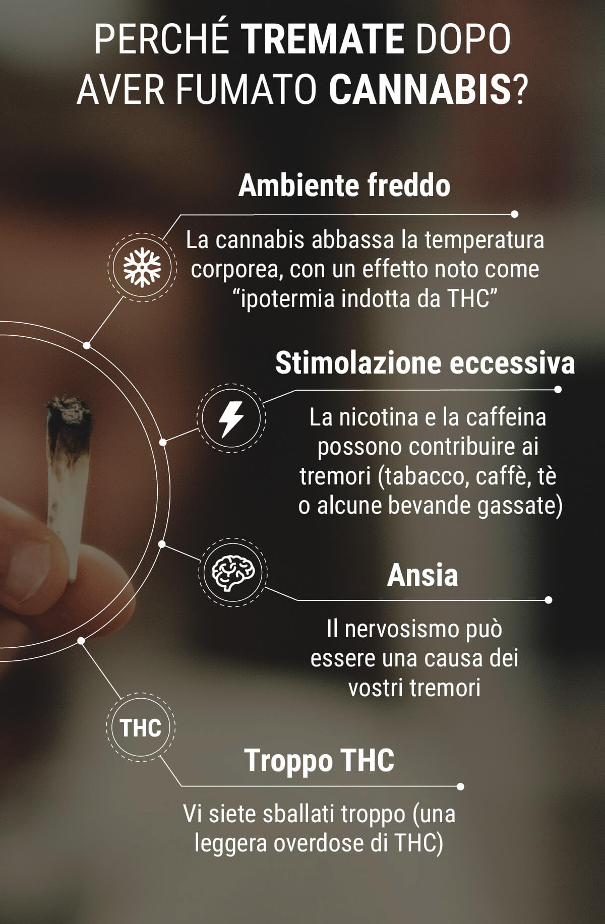 Perché si manifestano tremori dopo aver fumato cannabis? Perché si manifestano tremori dopo aver fumato cannabis?