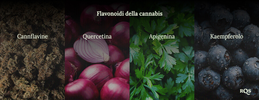 Cannabis flavonoids