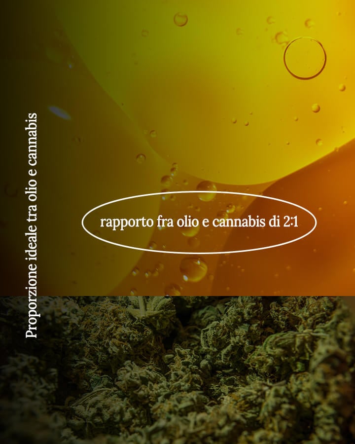 Cannabis oil ratio