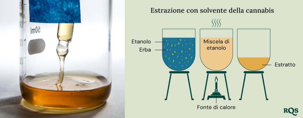 Cannabis solvent extraction