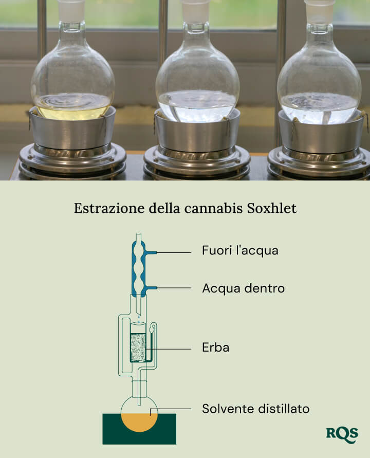 Cannabis soxhlet extraction