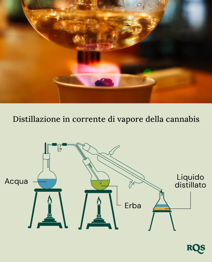 Cannabis steam destilation