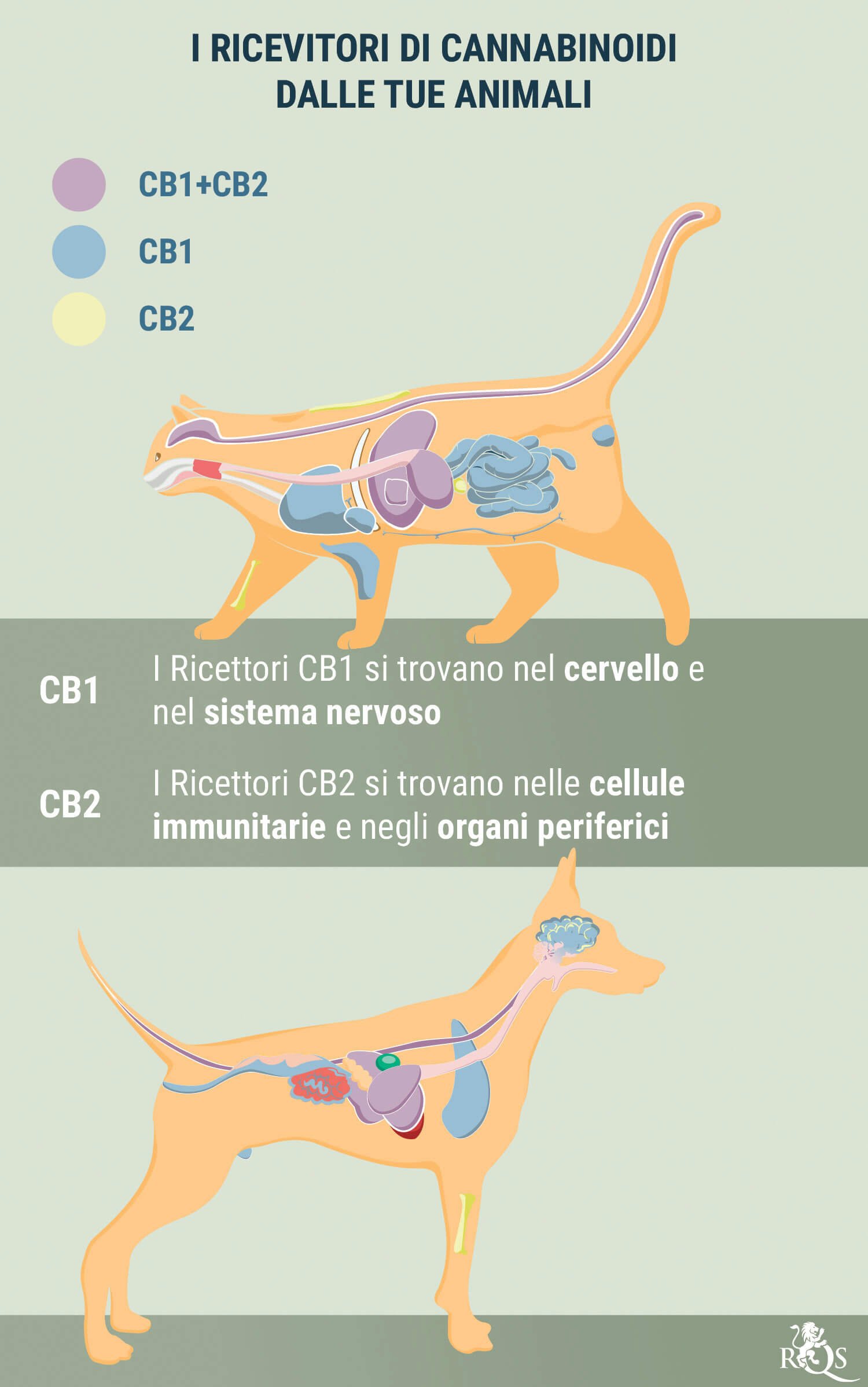 Medical Cannabis for Dogs and Cats