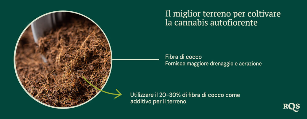 Coco coir for growing autoflowers