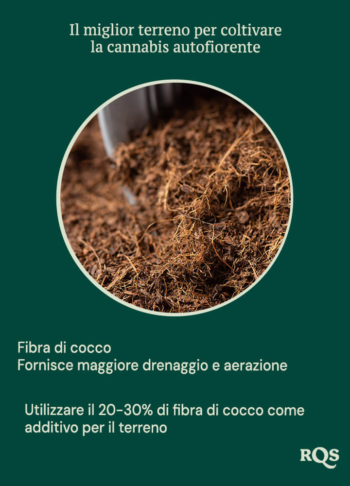 Coco coir for growing autoflowers