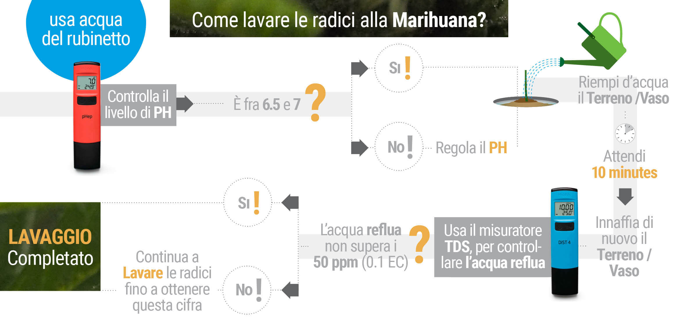 Come, quando e perché fare il « risciacquo » delle marihuana