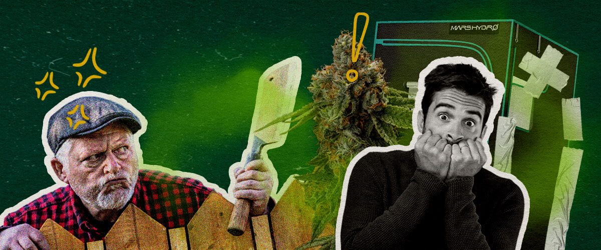 Errori Comuni che Fanno Odorare la Tua Tenda da Coltivazione Cannabis Un'illustrazione di boccioli di cannabis con una tenda da coltivazione, un uomo arrabbiato con un'ascia e un uomo scioccato, su uno sfondo verde, evidenziando gli errori comuni che causano l'odore nella tenda da coltivazione.