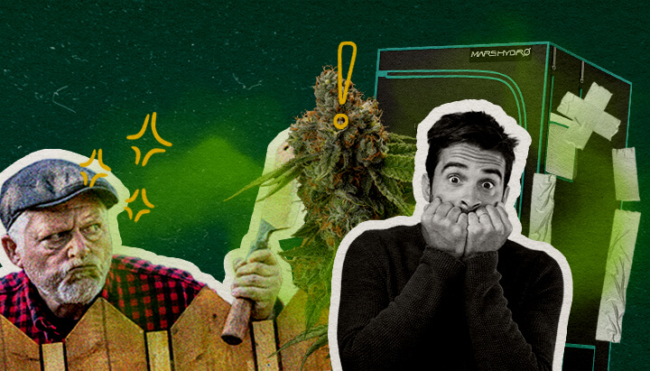 Errori Comuni che Fanno Odorare la Tua Tenda da Coltivazione Cannabis Un'illustrazione di boccioli di cannabis con una tenda da coltivazione, un uomo arrabbiato con un'ascia e un uomo scioccato, su uno sfondo verde, evidenziando gli errori comuni che causano l'odore nella tenda da coltivazione.