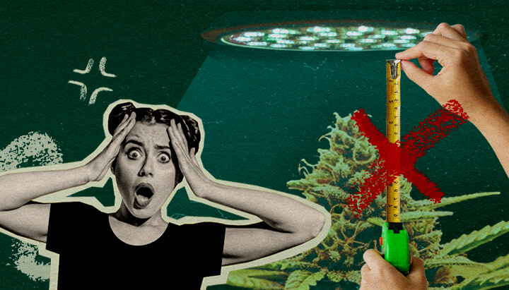 Errori Comuni nella Distanza della Luce: Immagine Configurazione Luce Pianta di cannabis con luce di coltivazione e metro, evidenziando errori comuni nella configurazione della distanza della luce su sfondo verde scuro, ideale per consigli di coltivazione di cannabis.