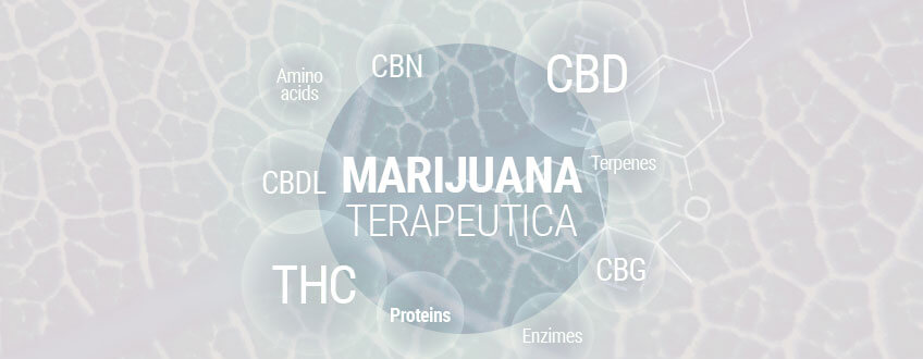 Guida Completa Alle Nozioni Di Base Sulla Marijuana Terapeutica