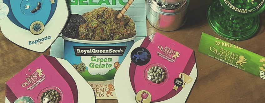 Semi di Cannabis e Merchandise Gratis