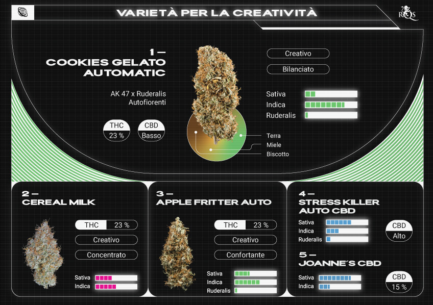 Top RQS Creative Strains