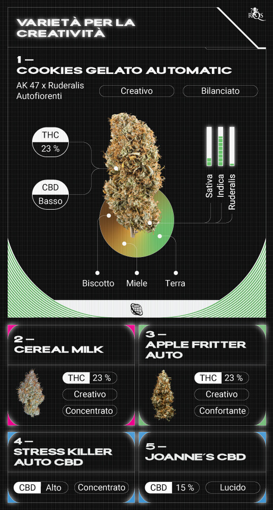 Top RQS Creative Strains