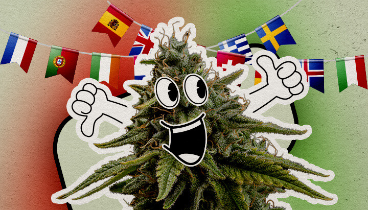Atteggiamenti culturali nei confronti della cannabis in Europa Una pianta di cannabis cartoon felice con un grande sorriso e pollici alzati si trova su uno sfondo colorato. Bandiere europee sono appese sopra, aggiungendo un tocco festoso.
