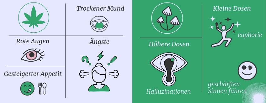 Cannabis vs funghi allucinogeni