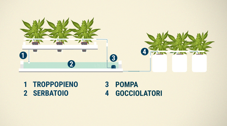 Idroponica a goccia continua