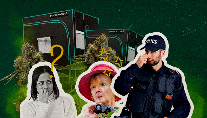 Le Tende da Coltivazione Trattengono l'Odor di Cannabis Un'illustrazione di boccioli di cannabis con tende da coltivazione, una donna confusa, una donna sorpresa con binocoli e un poliziotto, su uno sfondo verde, esplorando se le tende da coltivazione contengono l'odore di cannabis.
