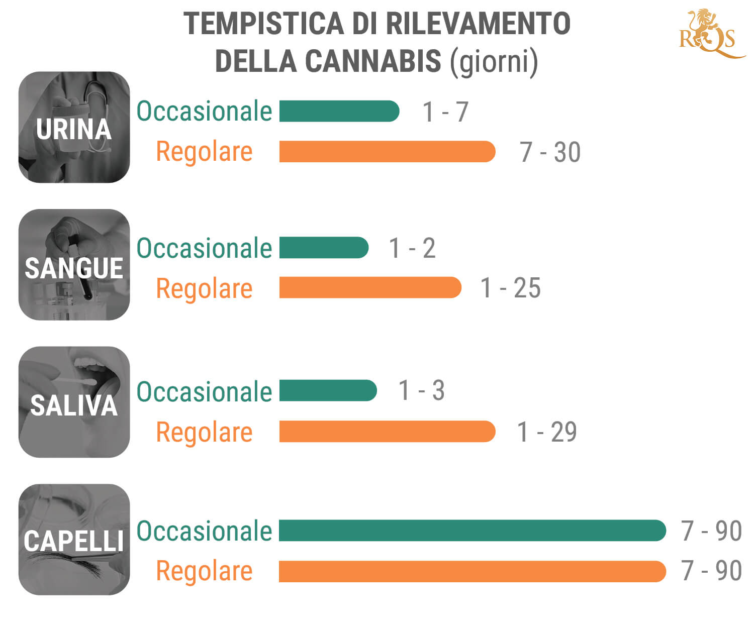 Per Quanto Tempo il THC Resta in Circolo nell'Organismo?