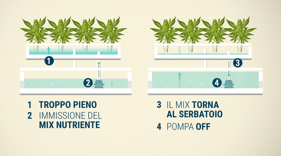 Sistema Di Flusso E Riflusso Sistema Di Flusso E Riflusso