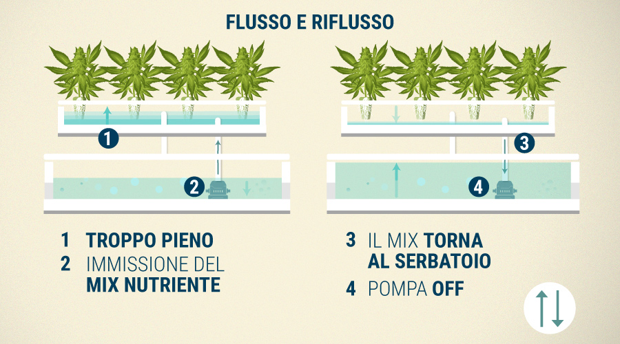 Sistema Di Flusso E Riflusso Sistema Di Flusso E Riflusso