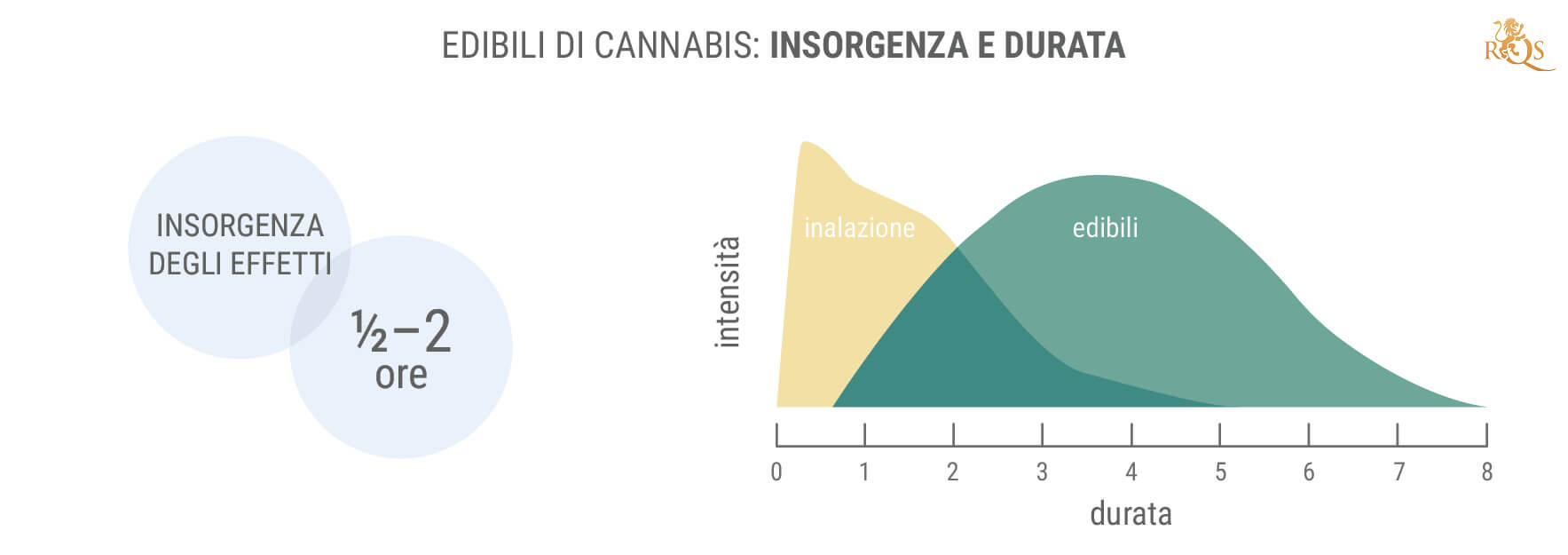 Quanto Durano gli Effetti degli Edibili?