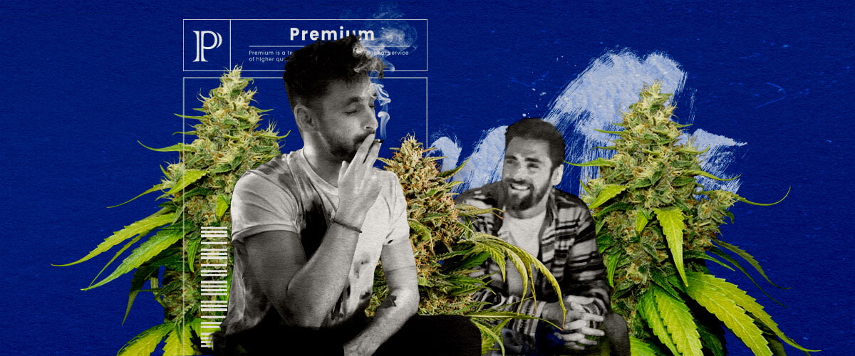 Effetti ed Esperienza di Blue Gelato Recensione Cannabis Un'illustrazione di un bocciolo di cannabis Blue Gelato con tonalità viola, circondato da un'aura rilassante e stimolante, su uno sfondo verde, che mette in evidenza gli effetti e l'esperienza dell'utente della varietà.