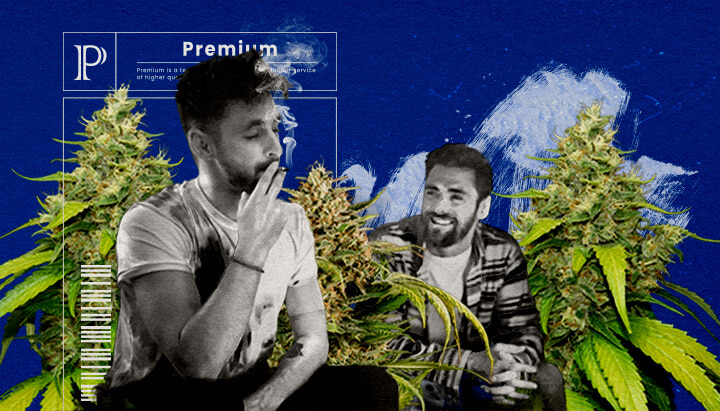 Effetti ed Esperienza di Blue Gelato Recensione Cannabis Un'illustrazione di un bocciolo di cannabis Blue Gelato con tonalità viola, circondato da un'aura rilassante e stimolante, su uno sfondo verde, che mette in evidenza gli effetti e l'esperienza dell'utente della varietà.