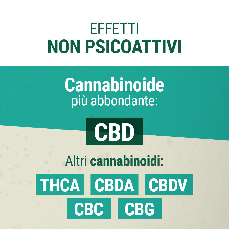 Effetti Non Psicoattivi CBD