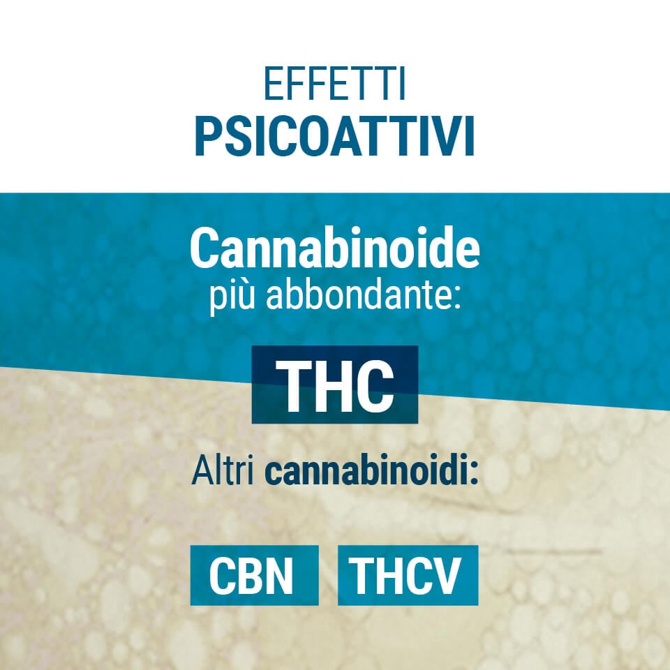 Effetti Psicoattivi THC