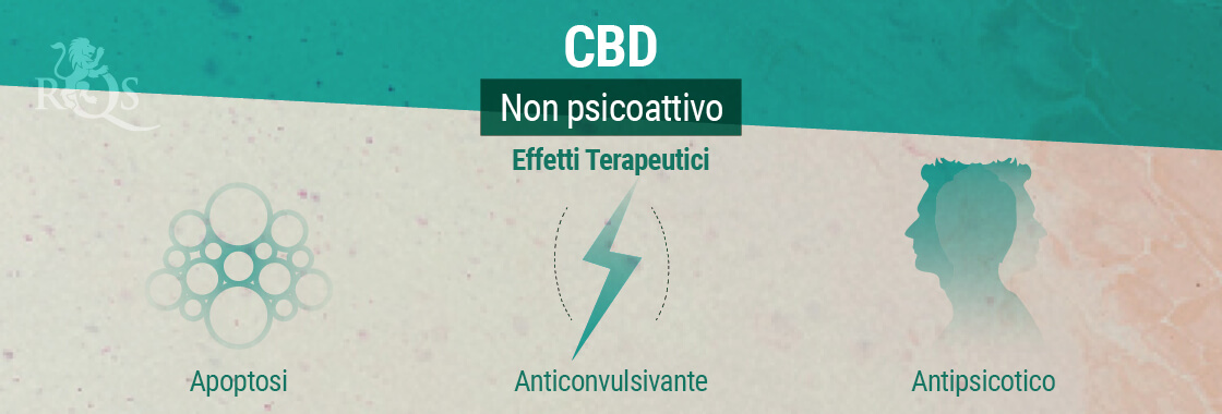 Effetti Terapeutici CBD