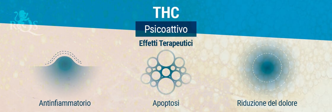 Effetti Terapeutici THC