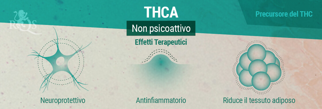 Effetti Terapeutici THCA