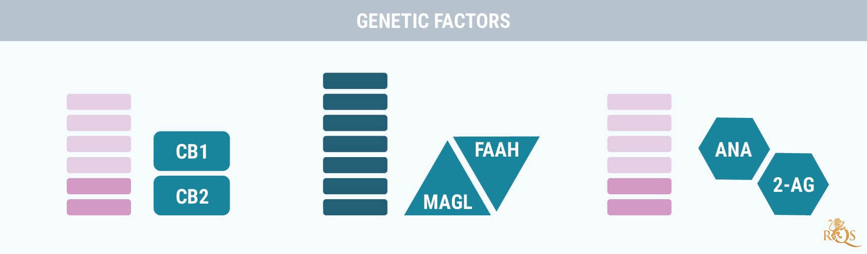 Fattori genetici