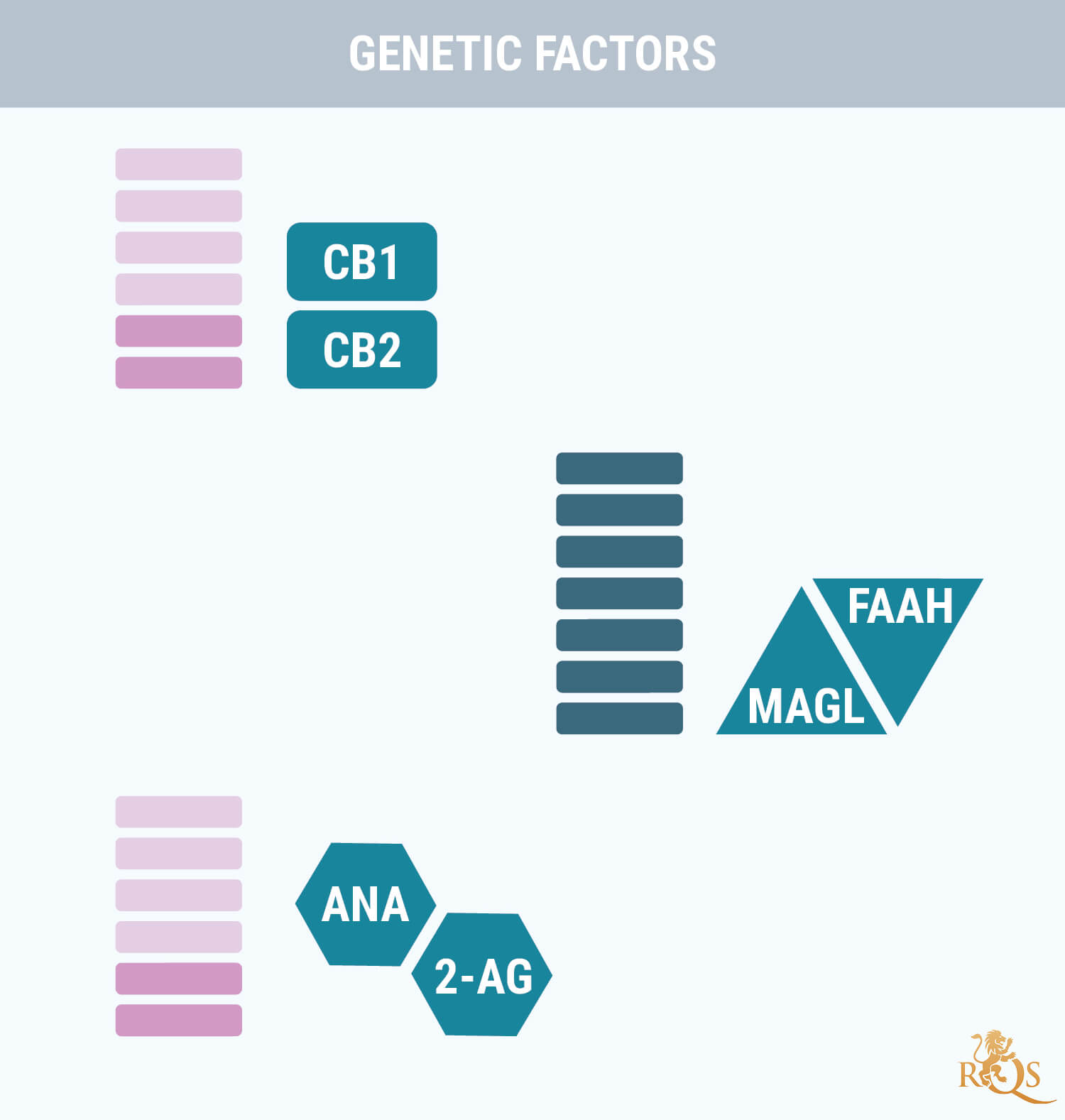 Fattori genetici