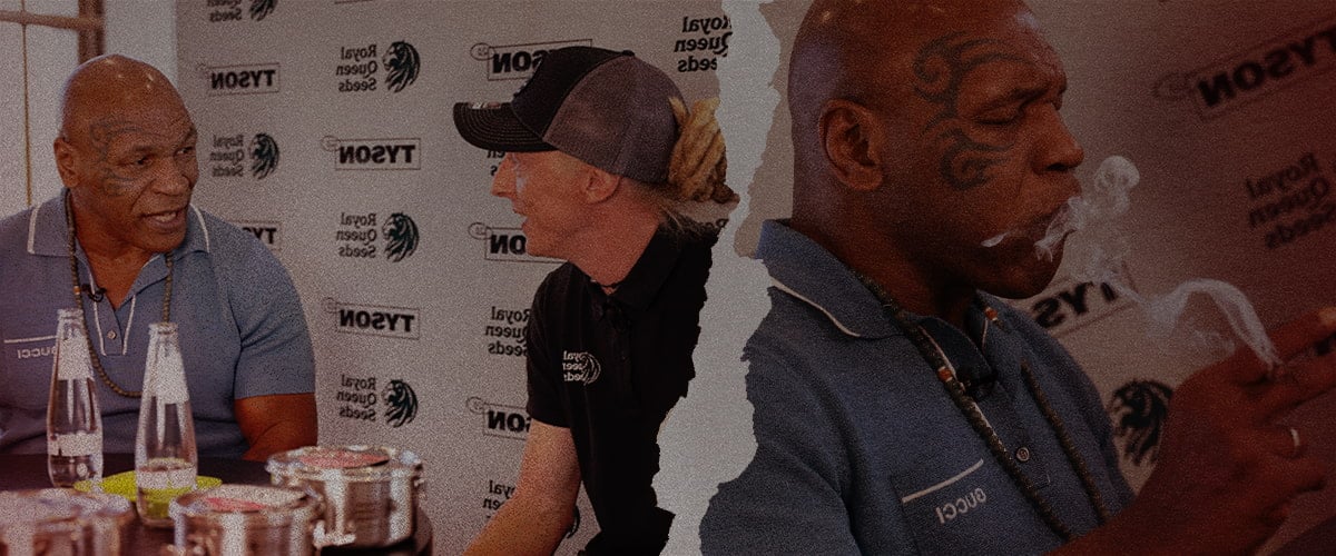 Mike Tyson e Royal Queen Seeds – Conversazioni euforiche sulla cannabis Mike Tyson mentre parla e fuma con un rappresentante di Royal Queen Seeds, evidenziando la loro collaborazione nel mondo della cannabis e uno stile di vita euforico.