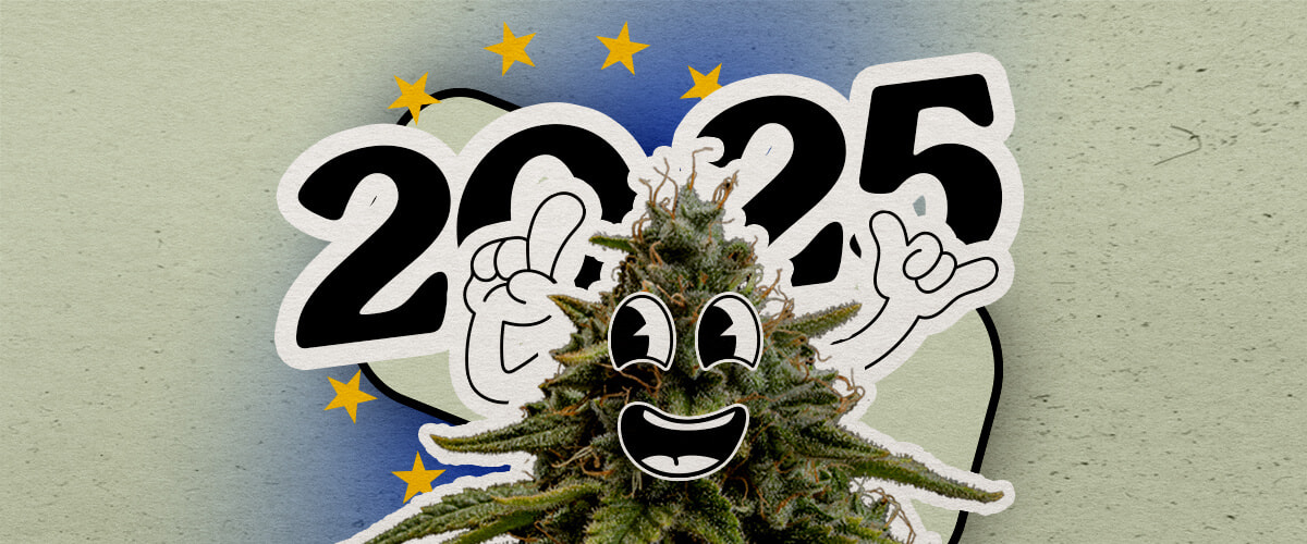 Scopri il panorama europeo della cannabis nel 2025 Una pianta di cannabis cartoon gioiosa con un grande sorriso e mani alzate si trova su uno sfondo sfumato con 2025 e stelle europee. L'immagine celebra il paesaggio della cannabis in Europa per l'anno.