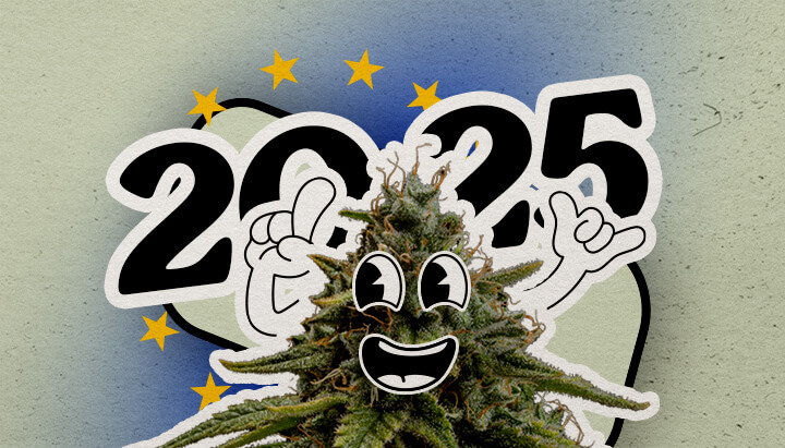 Scopri il panorama europeo della cannabis nel 2025 Una pianta di cannabis cartoon gioiosa con un grande sorriso e mani alzate si trova su uno sfondo sfumato con 2025 e stelle europee. L'immagine celebra il paesaggio della cannabis in Europa per l'anno.