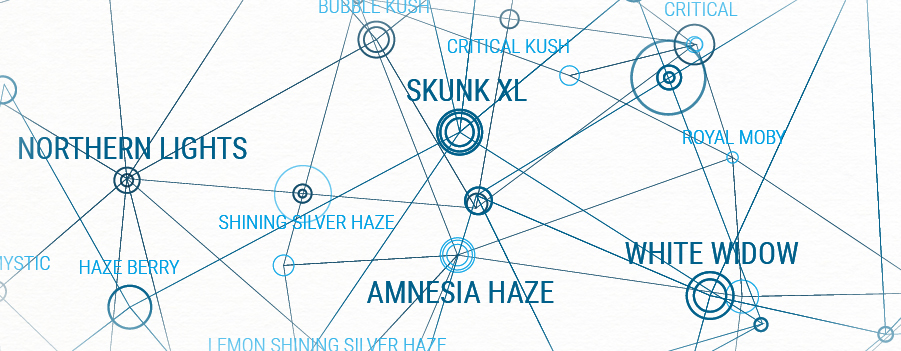 Mappe genetiche regina regina semi riproduzione crosscrossing