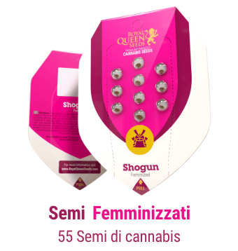 semi-femminizzati