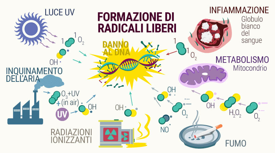 Formazione di radicali liberi