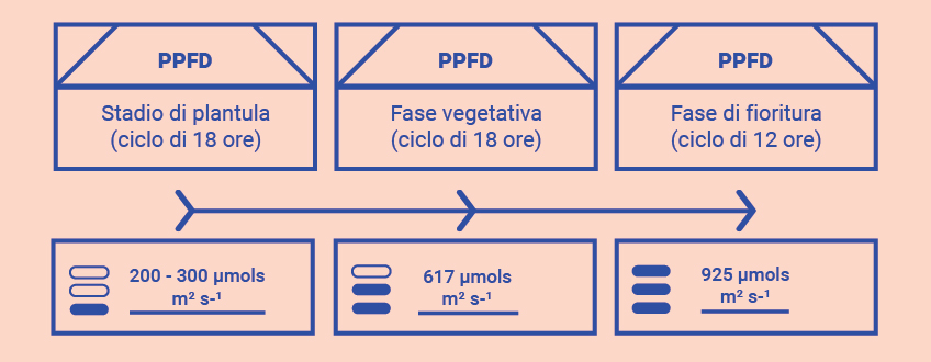 Ottimizzate le vostre conoscenze nelle grow room