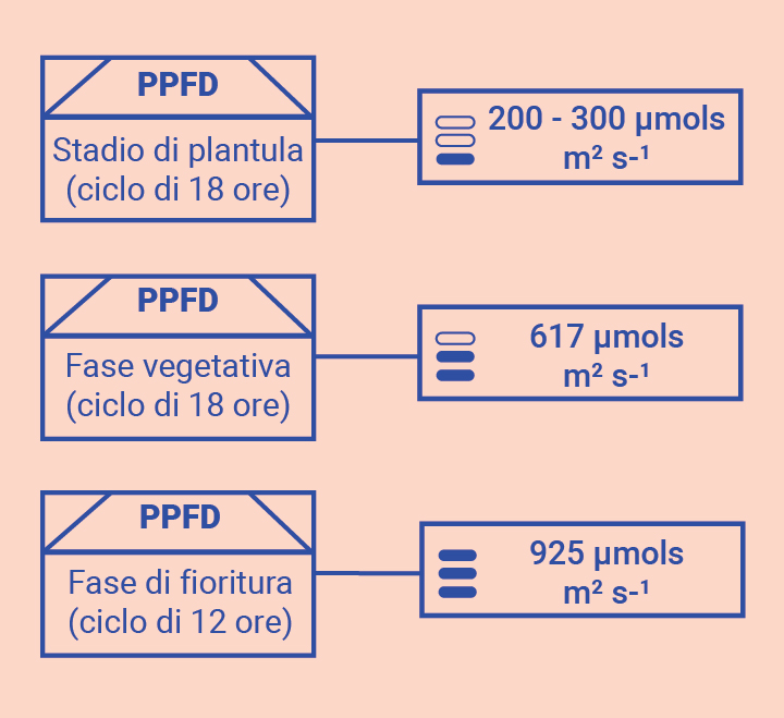 Ottimizzate le vostre conoscenze nelle grow room