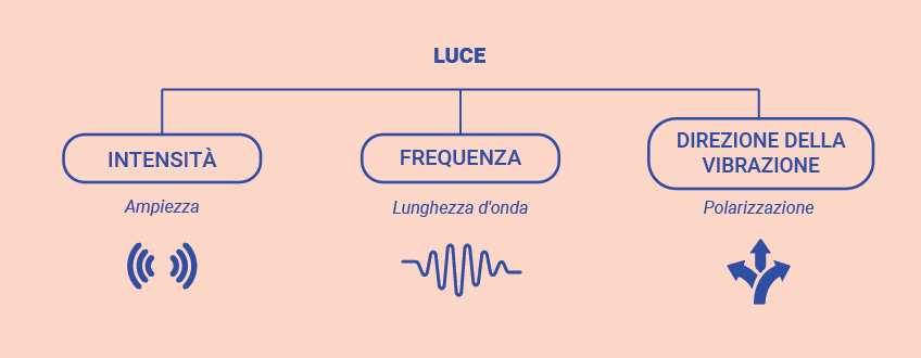 Luce visibile vs luce invisibile