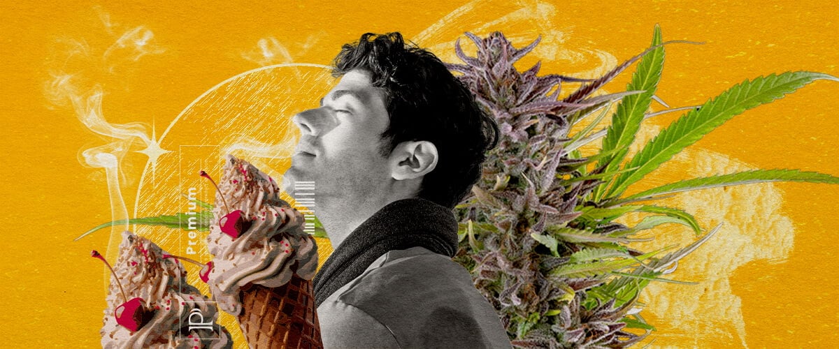 Aromi e sapori della varietà Gelato Un'illustrazione di un uomo con gli occhi chiusi che inalando fumo, circondato da un bocciolo di cannabis e due coni gelato con ciliegie, su uno sfondo giallo vibrante con effetti di fumo astratti, esplorando visivamente il profilo di sapore e aroma della varietà Gelato cannabis.