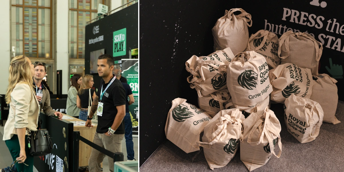 Esplora lo stand Royal Queen Seeds con giochi interattivi, borse regalo brandizzate e momenti salienti dell’evento TYSON 2.0.