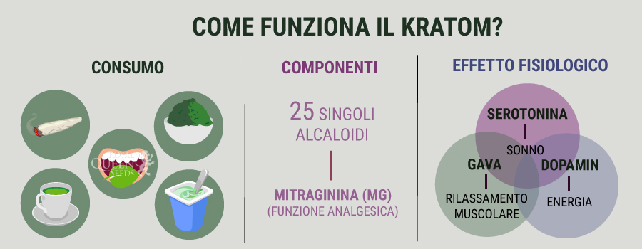 Come Funziona il Kratom 