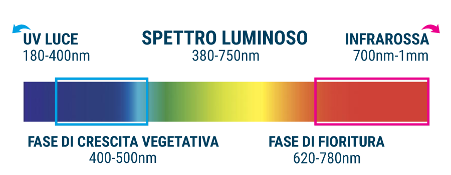 SPETTRO LUMINOSO INCORRETTO SPETTRO LUMINOSO INCORRETTO