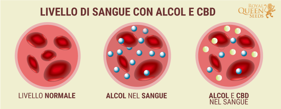  Livello del sangue CBD